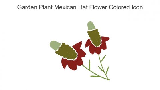 Garden Plant Mexican Hat Flower Colored Icon In Powerpoint Pptx Png And Editable Eps Format