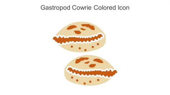 Gastropod Cowrie Colored Icon In Powerpoint Pptx Png And Editable Eps Format