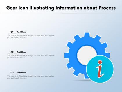 Gear icon illustrating information about process