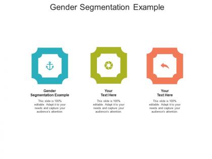 Gender segmentation example ppt powerpoint presentation model slides cpb