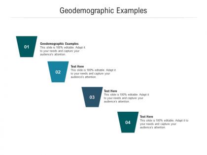 Geodemographic examples ppt powerpoint presentation professional example cpb