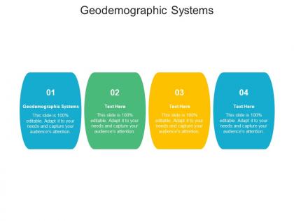 Geodemographic systems ppt powerpoint presentation infographic template images cpb