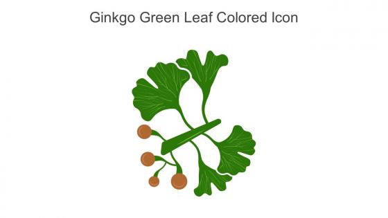 Ginkgo Green Leaf Colored Icon In Powerpoint Pptx Png And Editable Eps Format