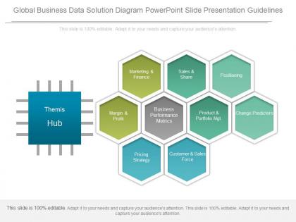 Global business data solution diagram powerpoint slide presentation guidelines