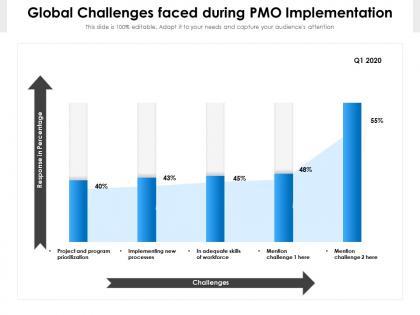 Global challenges faced during pmo implementation