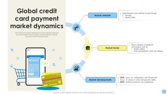 Global Consumer Finance Industry Report Global Credit Card Payment Market Dynamics CRP DK SS