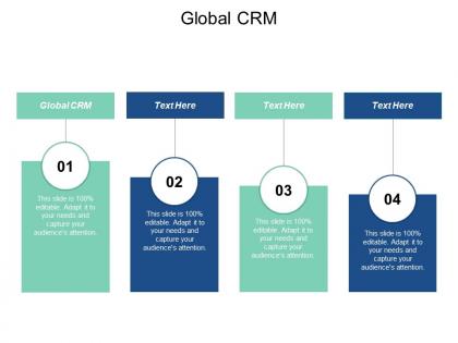 Global crm ppt powerpoint presentation gallery example introduction cpb