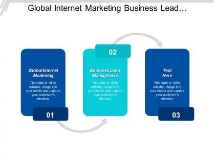Global internet marketing business lead management customer segmentation requirements cpb