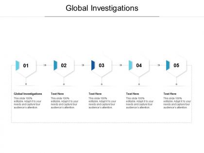 Global investigations ppt powerpoint presentation styles design templates cpb
