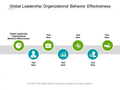 Global leadership organizational behavior effectiveness ppt powerpoint icon cpb