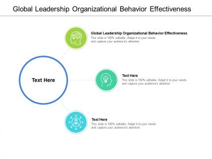 Global leadership organizational behaviour effectiveness ppt powerpoint show cpb
