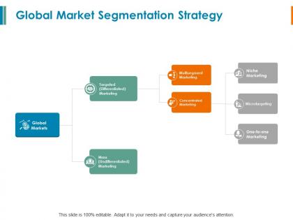 Global market segmentation strategy multisegment marketing ppt powerpoint slides