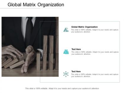 Global matrix organization ppt powerpoint presentation icon cpb