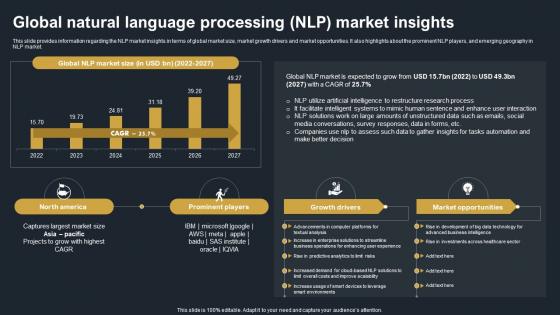 Global Natural Language Processing NLP Market Insights Decoding Natural Language AI SS V