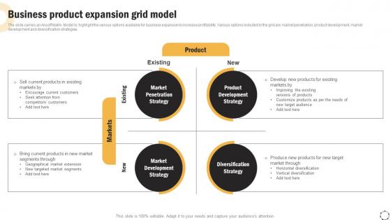 Global Product Expansion Business Product Expansion Grid Model