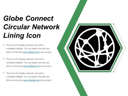 Globe connect circular network lining icon