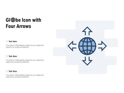 Globe icon with four arrows