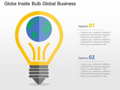 Globe inside bulb global business flat powerpoint design