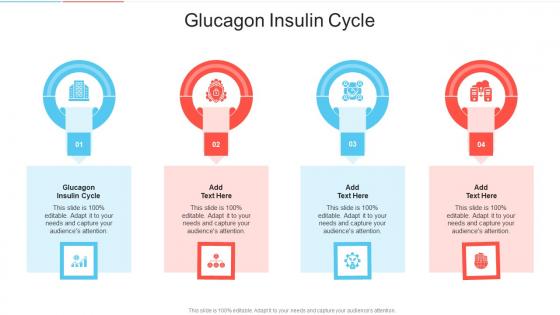 Glucagon Insulin Cycle In Powerpoint And Google Slides Cpb