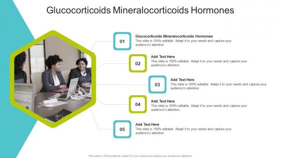 Glucocorticoids Mineralocorticoids Hormones In Powerpoint And Google Slides Cpb
