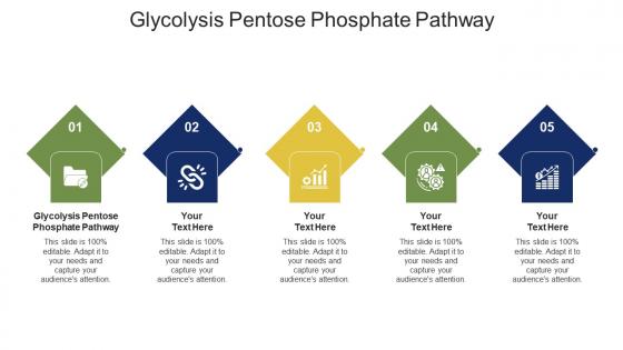 Glycolysis pentose phosphate pathway ppt powerpoint presentation infographics example topics cpb