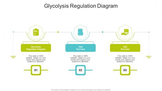 Glycolysis Regulation Diagram In Powerpoint And Google Slides Cpb