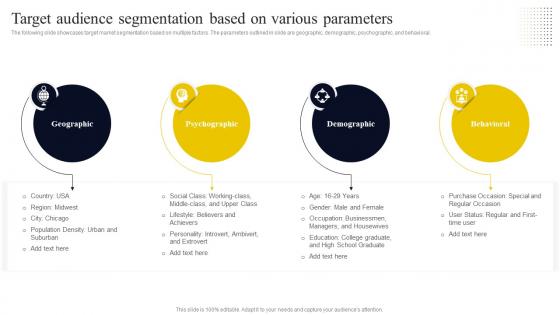 Go To Market Strategy For Startup Target Audience Segmentation Based On Various Strategy SS V