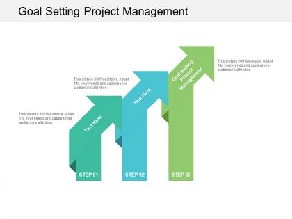 Goal setting project management ppt powerpoint presentation outline graphics cpb