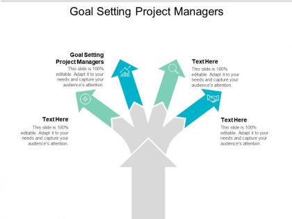 Goal setting project managers ppt powerpoint presentation infographics outfit cpb