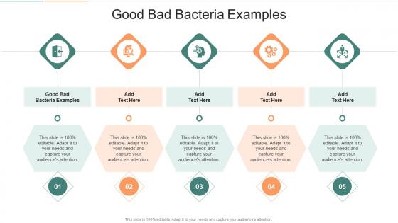 Good Bad Bacteria Examples In Powerpoint And Google Slides Cpb