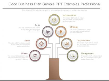 Good business plan sample ppt examples professional