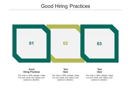 Good hiring practices ppt powerpoint presentation styles microsoft cpb