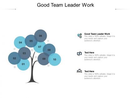Good team leader work ppt powerpoint presentation portfolio inspiration cpb