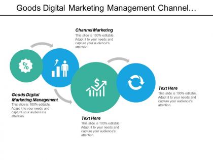 Goods digital marketing management channel marketing acquisition strategy plan cpb