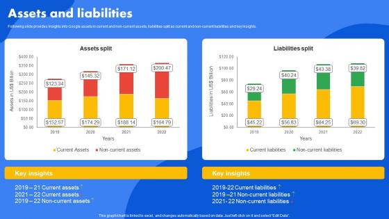 Google Company Profile Assets And Liabilities CP SS