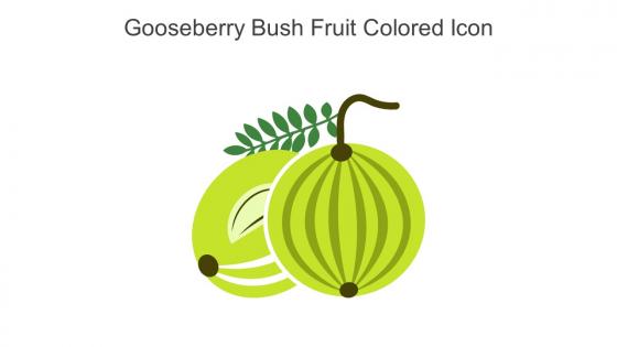 Gooseberry Bush Fruit Colored Icon In Powerpoint Pptx Png And Editable Eps Format