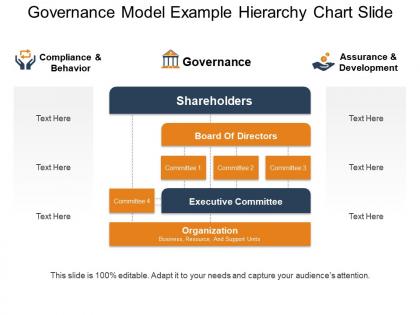Governance model example hierarchy chart slide ppt examples