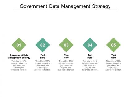 Government data management strategy ppt powerpoint graphics cpb