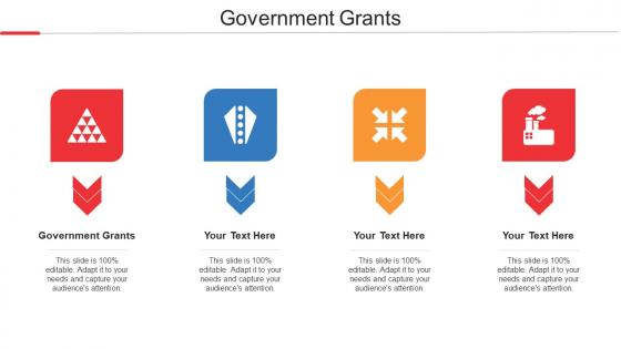Government Grants Ppt Powerpoint Presentation Layouts Design Templates Cpb