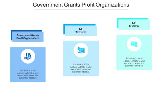 Government Grants Profit Organizations Ppt Powerpoint Presentation Show Cpb