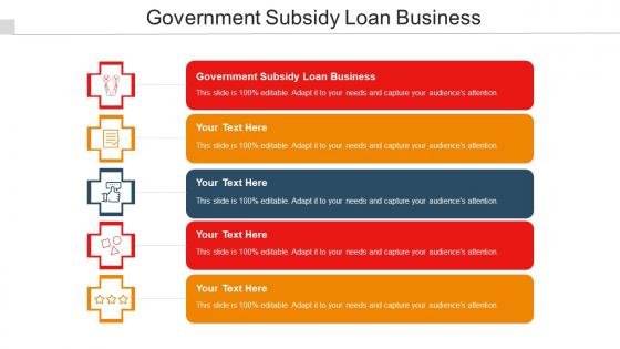 Government Subsidy Loan Business Ppt Powerpoint Presentation Professional Example Cpb