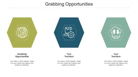 Grabbing opportunities ppt powerpoint presentation infographics designs download cpb
