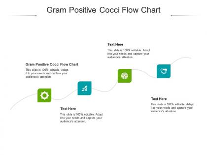 Gram positive cocci flow chart ppt powerpoint presentation portfolio example file cpb