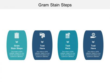Gram stain steps ppt powerpoint presentation icon samples cpb