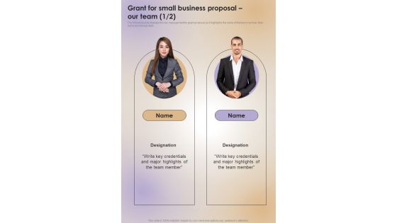 Grant For Small Business Proposal Our Team One Pager Sample Example Document