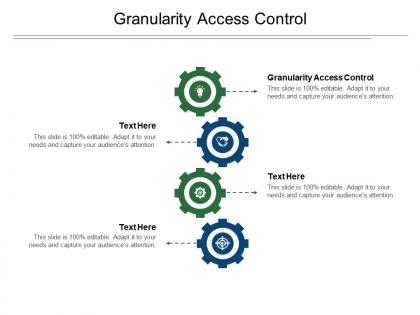 Granularity access control ppt powerpoint presentation pictures visuals cpb