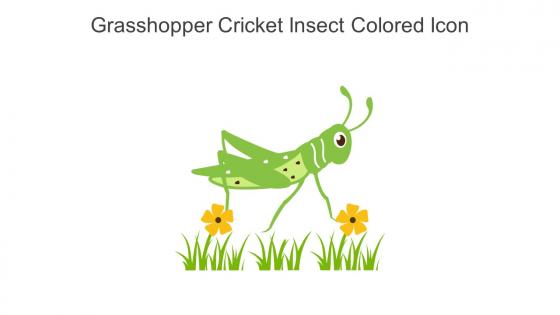 Grasshopper Cricket Insect Colored Icon In Powerpoint Pptx Png And Editable Eps Format