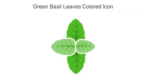 Green Basil Leaves Colored Icon In Powerpoint Pptx Png And Editable Eps Format