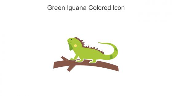 Green Iguana Colored Icon In Powerpoint Pptx Png And Editable Eps Format