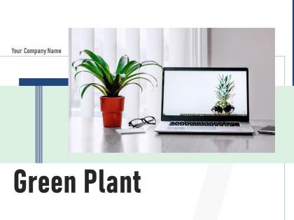 Green Plant Investment Ceramic Workstation Screen Computer Monitor